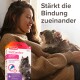 Eine Person in einem gemütlichen Pullover kuschelt mit einer flauschigen Katze, mit einer Box Beaphar CatComfort Beruhigungs-Tropfen im Vordergrund, die Stressabbau fördert.