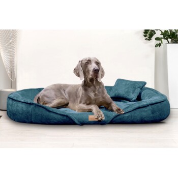 Ein grauer Weimaraner-Hund liegt auf einem plüschigen, türkisfarbenen Hundebett mit einem kleinen Kissen, vor einem hellen Hintergrund.