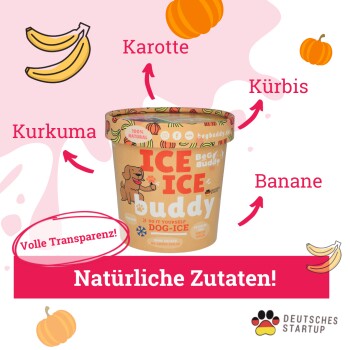 Hundeeis Starter-Kit, Eis Hund