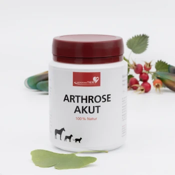Weißer Behälter mit rotem Deckel, beschriftet mit „HerzensTier Arthrose Akut 100% Natur“ für Haustiere, zeigt Pferd-, Hund- und Katzen-Symbole.