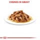 Chunks of pet food in gravy served on a white plate, with the text "CHUNKS IN GRAVY" displayed prominently above.