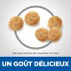 Image de croquettes pour animaux, montrant cinq pièces rondes avec une texture, étiquetées 'UN GOÛT DÉLICIEUX' et 'Taille approximative des croquettes 3.5 x 9mm.'