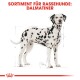 Illustration eines Dalmatiners mit schwarzen Flecken auf einem weißen Fell, begleitet von dem Text "SORTIMENT FÜR RASSEHUNDE: DALMATINER."