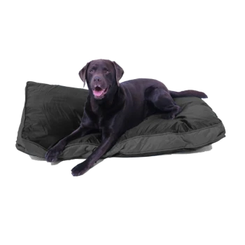 Schokoladenfarbener Labrador liegt auf einem großen, dunkelgrauen, rechteckigen Hundebett vor weißem Hintergrund und schaut in die Kamera.