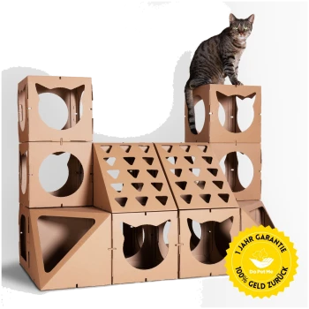 Eine verspielte Tabby-Katze sitzt auf einem mehrstöckigen Pappturm mit einem gelben Aufkleber, der "1 Jahr Garantie 100% Geld zurück" liest.