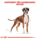 Illustration eines Boxerhundes mit Maßen, betitelt "Sortiment für Rassehunde: Boxer" in fettem roten Text oben.