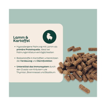 Braunes Lamm- und Kartoffel-Kibble neben einer Tafel mit der Aufschrift 'Lamm & Kartoffel' und deutschen Stichpunkten zu hypoallergen, Verdauung und Immununterstützung.