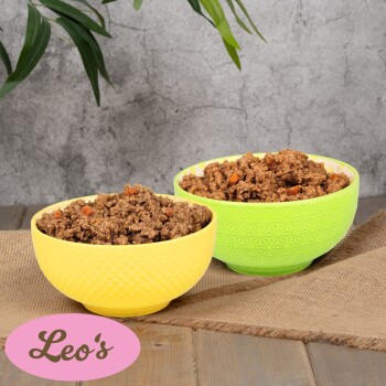 Zwei Schalen mit Haustierfutter, eine gelbe und eine grüne, gefüllt mit feuchtem, zerbröckeltem Fleisch und Gemüse, mit einem rosa Etikett mit der Aufschrift "Leo's."