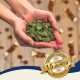 Hände halten grüne würfelförmige Tierleckerlis, unscharfer Kauknochen-Hintergrund, goldenes Siegel mit der Aufschrift „Bewährte Qualität · Seit über 15 Jahren · Best Quality“