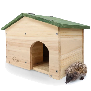 Ein Holz-Igelhaus mit einem grünen Dach, mit einem Eingang, neben einem kleinen Igel, der den Boden erkundet.