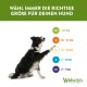Ein schwarz-weißer Hund mit erhobener Pfote sitzt neben einem Diagramm, das die Whimzees-Leckerligrößen zeigt und den Text "WÄHL IMMER DIE RICHTIGE GRÖSSE."