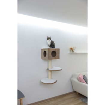 Tabby kot siedzi na nowoczesnym drewnianym drzewie dla kotów z domkiem w kształcie sześcianu i dwoma okrągłymi platformami, na tle jasnoszarej ściany.