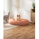 Ein glücklicher Shiba Inu sitzt in einem plüschigen, runden, pfirsichfarbenen Haustierbett auf einem Holzboden, mit einer gemütlichen Wohnzimmerumgebung im Hintergrund.