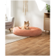 Ein glücklicher Shiba Inu sitzt in einem plüschigen, runden, pfirsichfarbenen Haustierbett auf einem Holzboden, mit einer gemütlichen Wohnzimmerumgebung im Hintergrund.
