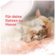 Twee pluizige kittens knuffelen op een roze bed, de ene verzorgt de andere; fonkelende overlay; tekst 'Voor je katten thuis'.