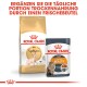 Royal Canin Haustierfutterprodukte mit einer Tüte Sphynx Trockenfutter für Katzen und einem Beutel Intense Beauty Nassfutter, mit Text zur Förderung der täglichen Fütterung.