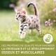 Un chaton tacheté joueur avec des yeux bleus marchant dans l'herbe verte, accompagné d'un texte promouvant des protéines de qualité pour le développement des os et des muscles.
