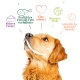 Ein lächelnder Golden Retriever mit bunten Sprechblasen: "Reines Futter", "Perfektes Eiweiß", "Tierschutz", "Bessere Welt", "Glückliche Hunde."