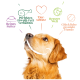 Ein lächelnder Golden Retriever mit bunten Sprechblasen: "Reines Futter", "Perfektes Eiweiß", "Tierschutz", "Bessere Welt", "Glückliche Hunde."
