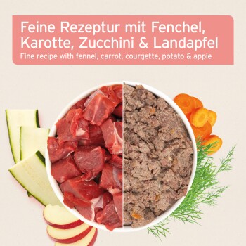 Eine Metallschüssel mit Haustierfutter, Gemüse und Apfelscheiben, umgeben von frischen Karotten, Zucchini und einem Apfel, mit dem Aniforte-Logo.