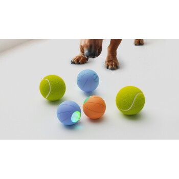 Die Nase eines Hundes ist in der Nähe von fünf bunten Haustierbällen zu sehen: zwei grüne Tennisbälle, ein blauer Ball mit Licht, ein orangefarbener Ball und ein weiterer blauer Ball.
