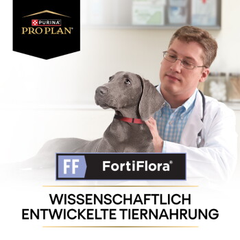 Tierarzt mit grauem Hund; zeigt Purina Pro Plan und FortiFlora (WISSENSCHAFTLICH ENTWICKELTE TIERNAHRUNG).