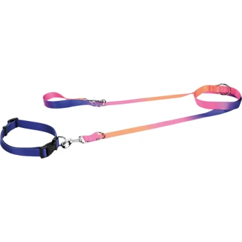Halsband+Leine Set bunt M Ein farbenfrohes Haustier-Leinen-Set mit einem blauen Geschirr und einer zweifarbigen Leine in einem pink-orange Farbverlauf.