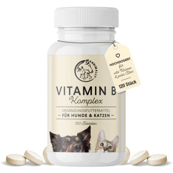 Vitamin B Komplex Ergänzung für Hunde und Katzen in einer weißen Flasche, mit einem Hund und einer Katze auf dem Etikett, mit 120 Tabletten abgebildet.