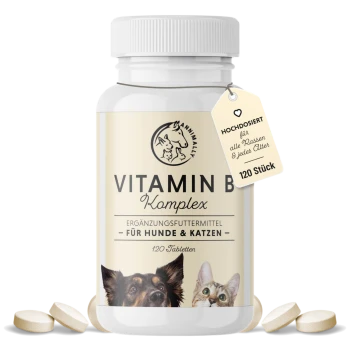 Vitamin B Komplex Ergänzung für Hunde und Katzen in einer weißen Flasche, mit einem Hund und einer Katze auf dem Etikett, mit 120 Tabletten abgebildet.