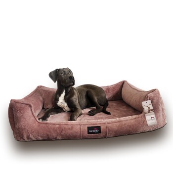 Ein schwarzer Hund ruht auf einem plüschigen, pinken Haustierbett mit erhöhten Rändern, mit einem Etikett, das "tierlando" liest.
