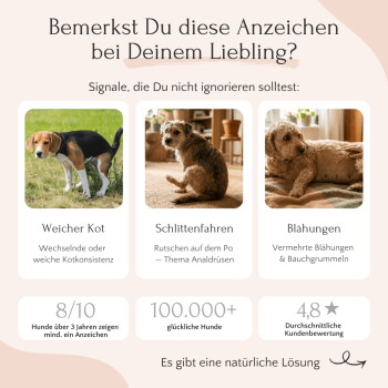 Fütterungsempfehlungstabelle für Hunde nach Gewicht mit Tagesdosis und Dauer, FloraVITAL Ergänzungsdose und ein Hund mit einem Napf voller Kroketten.