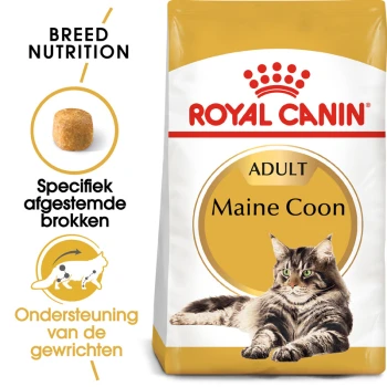 Royal Canin Adult Maine Coon kattenvoer zak met een afbeelding van een Maine Coon kat, met tekst die de voeding van het ras en gewrichtsondersteuning benadrukt.