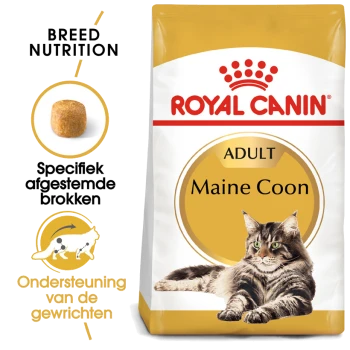 Royal Canin Adult Maine Coon kattenvoer zak met een afbeelding van een Maine Coon kat, met tekst die de voeding van het ras en gewrichtsondersteuning benadrukt.