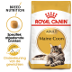Royal Canin Adult Maine Coon kattenvoer zak met een afbeelding van een Maine Coon kat, met tekst die de voeding van het ras en gewrichtsondersteuning benadrukt.