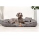 Ein grauer Weimaraner Hund, der auf einem plüschigen grauen Haustierbett mit einem kleinen Kissen liegt, vor einer hellen Wand und Zimmerpflanzen.