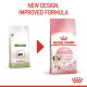Old and new Royal Canin kitten food bags; new pink bag reads "KITTEN Up to 12 months" and "NEW DESIGN, IMPROVED FORMULA"