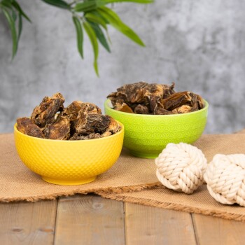 Zwei bunte Schalen gefüllt mit Haustierleckereien, eine gelbe und eine grüne, auf einem Jutesack neben zwei weißen Seilspielzeugen platziert.