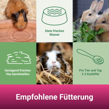 Meerschweinchen und Kaninchen; Beschriftungen: 'Stets frisches Wasser'; 'Genügend frisches Heu'; '2-3 Esslöffel/Tag'; 'Empfohlene Fütterung'.
