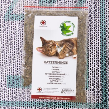 Ein Paket Katzenminze mit der Aufschrift "Katzenminze" und einer verspielten getigerten Katze auf der Vorderseite, mit Übersetzungen in mehreren Sprachen.
