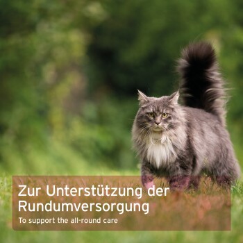 Eine flauschige graue Katze läuft durch grünes Gras, mit überlagertem Text: "Zur Unterstützung der Rundumversorgung / To support all-round care."