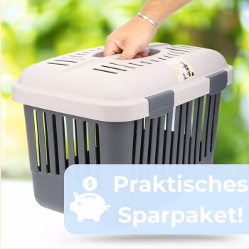 Tragbare Transportbox mit grauem Unterteil und beiger Haube, Hand hält oberen Griff; Bannertext: "Praktisches Sparpaket!".