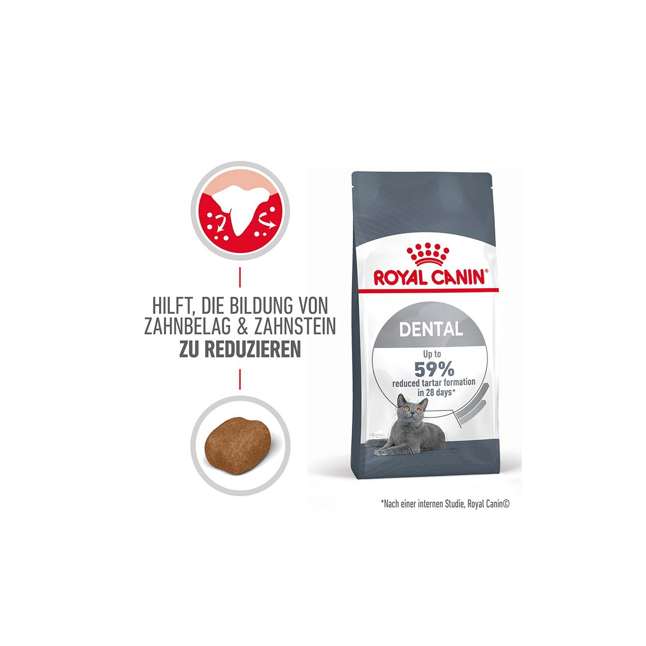 ROYAL CANIN Dental Care 3,5 kg