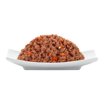 Ein Haufen Haustierfutter mit fleischiger Textur, mit kleinen Stücken orangefarbener und weißer Zutaten, serviert auf einem weißen Teller.