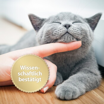 Graue Katze mit geschlossenen Augen, die am Kinn von einer Hand gekrault wird; goldenes Siegel mit der Aufschrift 'Wissenschaftlich bestätigt'