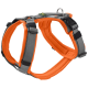 Orange und graues Hundegeschirr mit verstellbaren Riemen und einem metallenen D-Ring zur Leinenbefestigung.