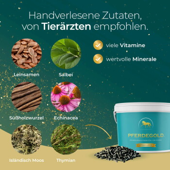 Teal Eimer mit der Aufschrift "Pferdegold" mit Pellets, mit "50.000 glückliche Pferde", "Hilft Nährstoffmangel" und "100% natürlich."