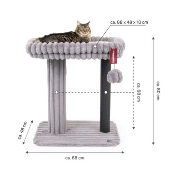 Ein gemütlicher grauer Katzenbaum mit einem plüschigen Oberteil, auf dem eine getigerte Katze entspannt, mit beschrifteten Abmessungen: 68x48x10 cm, 68 cm Höhe, 80 cm Gesamthöhe.