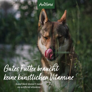 Ein Hund, der sich im Gras die Lippen leckt, mit "Gutes Futter braucht keine künstlichen Vitamine" und "Good feed doesn't need artificial vitamins".