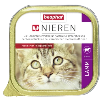 Beaphar Nieren Katzenfutterverpackung, die das Gesicht einer Katze zeigt, beschriftet mit "Nieren" zur Unterstützung der Nieren, mit "Lamm"-Geschmack und niedrigem Phosphor.