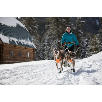 Eine Person in einer türkisfarbenen Jacke geht mit zwei glücklichen Hunden, die orangefarbene Geschirre tragen, auf einem verschneiten Weg, mit einer Blockhütte und Kiefern im Hintergrund.